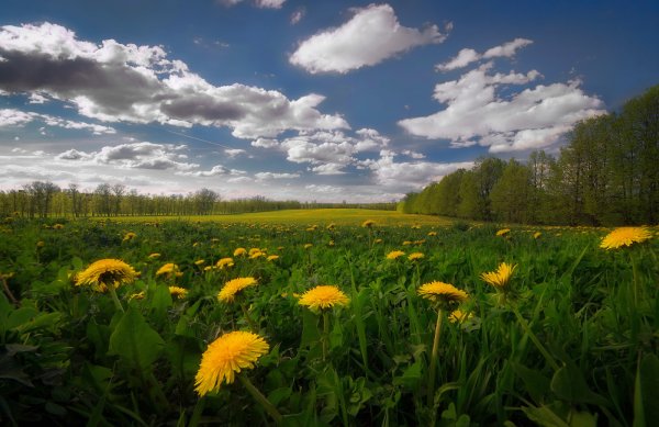 Майский пейзаж