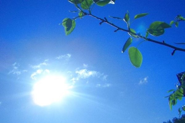 Весеннее небо и солнце