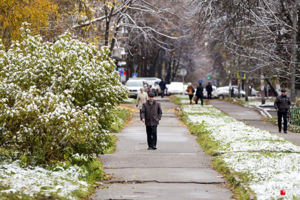 Снег в Ярославле