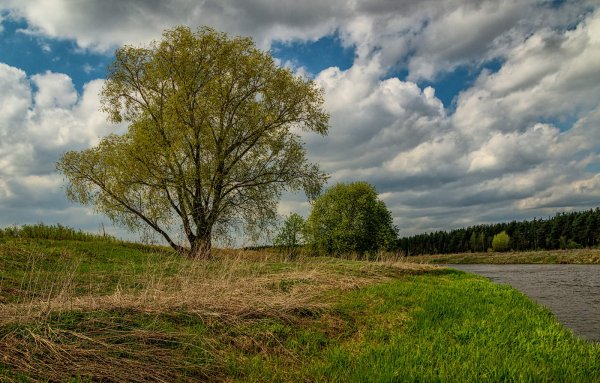 Пасмурное лето