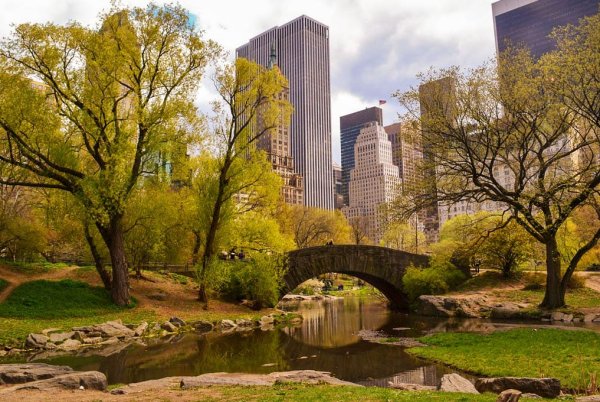 Центральный парк Нью-Йорк мостик