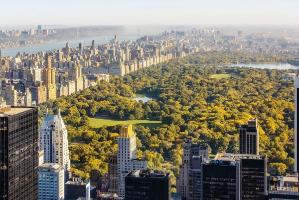 Парк Манхэттен Нью-Йорк