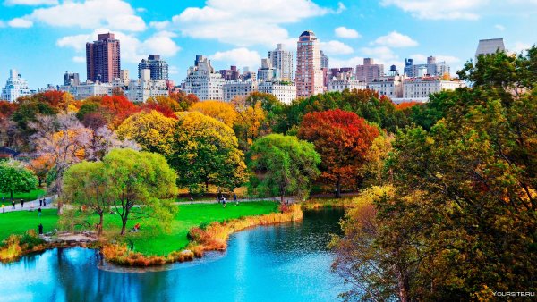 Централ парк Нью-Йорк