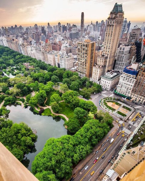 Центральный парк Нью-Йорк