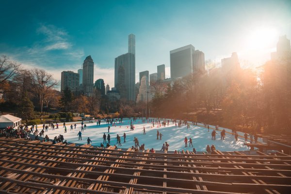 Центральный парк Нью-Йорк