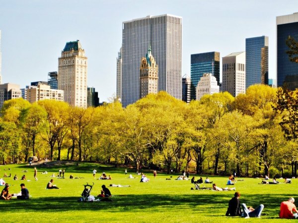 Центральный парк, Нью Йорк, США