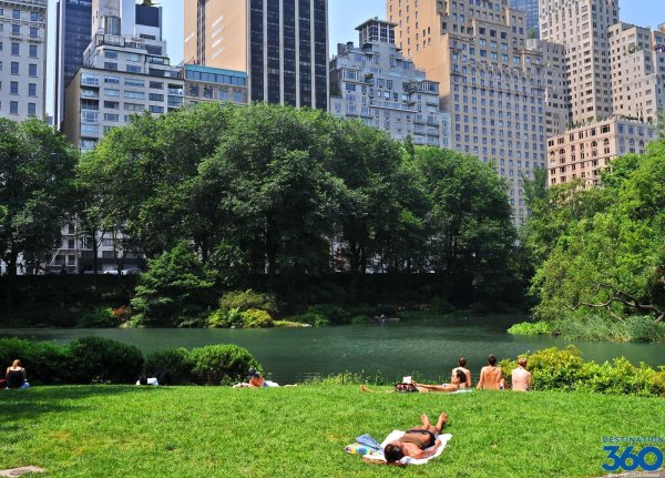 Грин парк Нью Йорк