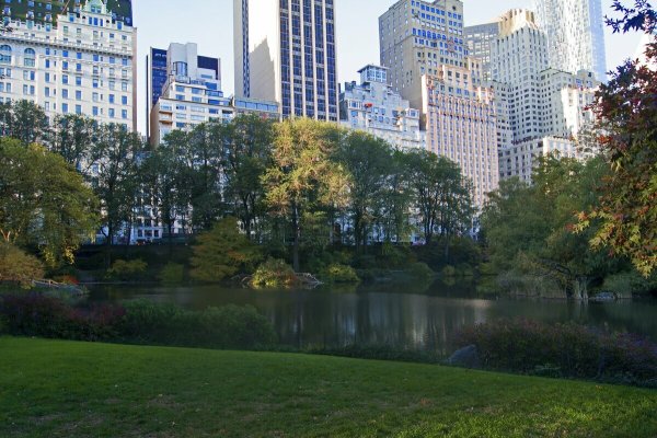 Центральный парк Нью-Йорк