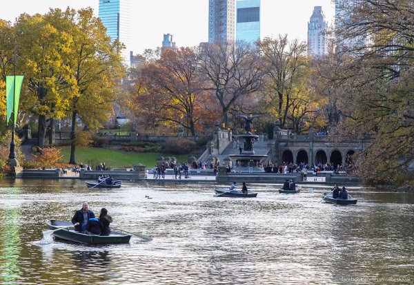 Центральный парк Нью-Йорка прогулка