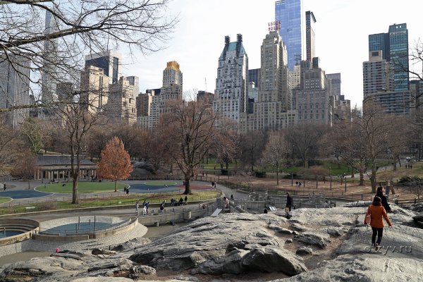 Центральный парк Нью-Йорка развлечения