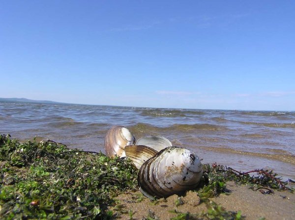 Озеро Арахлей