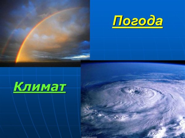 Климат для детей