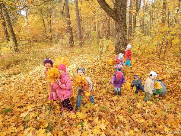Экскурсия с детьми в осенний лес
