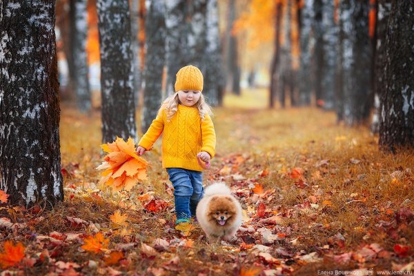 Осенние прогулки с детьми