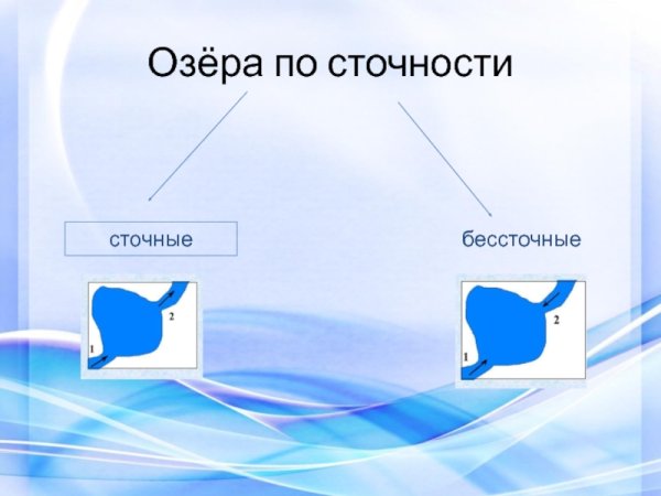 Сточные озера