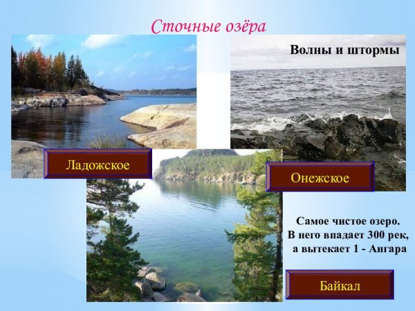 Ладожское озеро сточное или бессточное