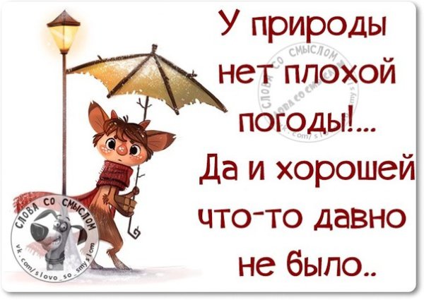 Доброго дня несмотря на погоду