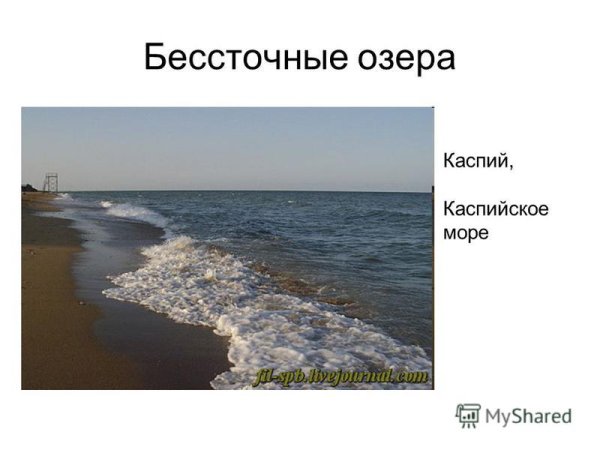Моря сточные бессточные