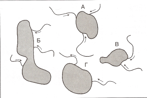 Схема сточного и бессточного озера