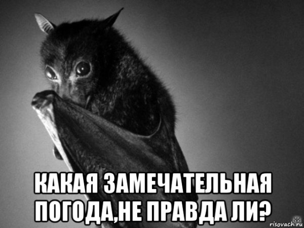 Хорошая погодка не правда ли