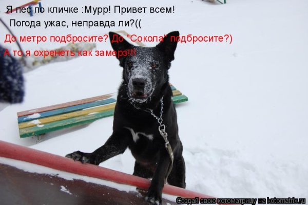 Погода ужас прикол