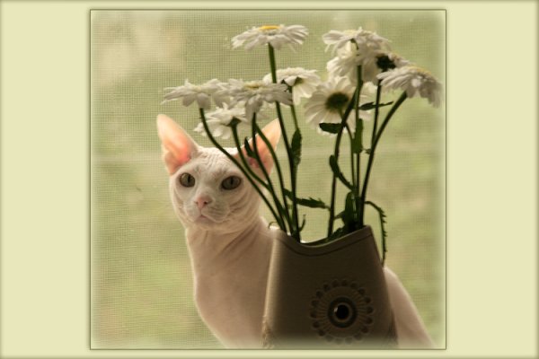 Прекрасная погода неправда ли картинки