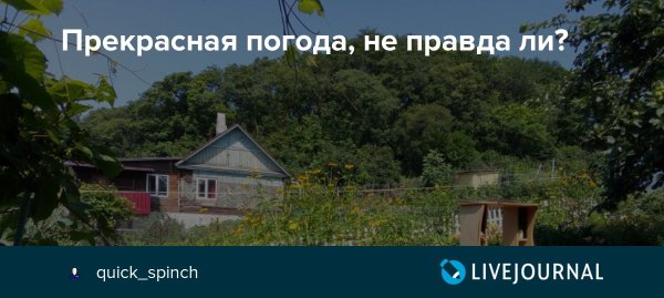 Хорошая погода не правда ли