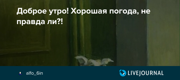 Хорошая погода не правда ли