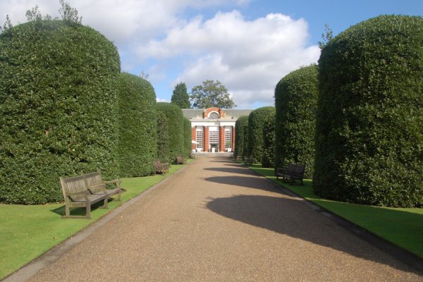 Дзин английский парк