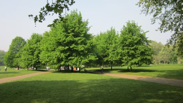 Парк английского типа