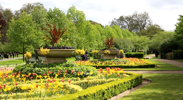 Осень в Лондоне- Риджентс-парк.