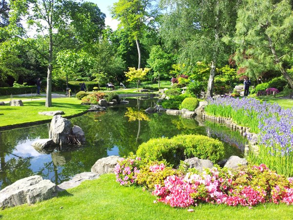 Парк дармера в Англии