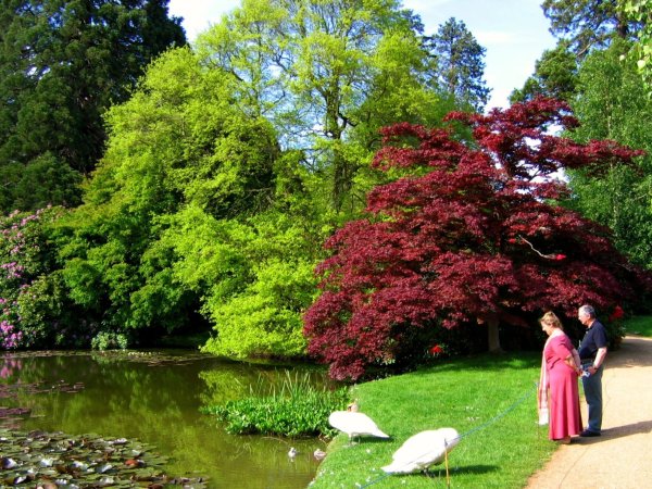 Бенхам парк Англия