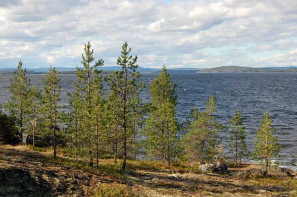 Кандалакша Имандра