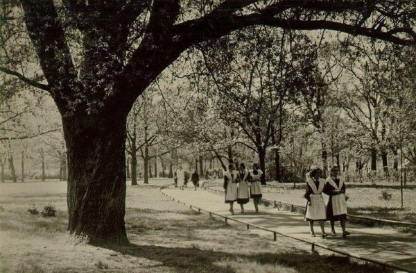 Парк Горького 1953 год