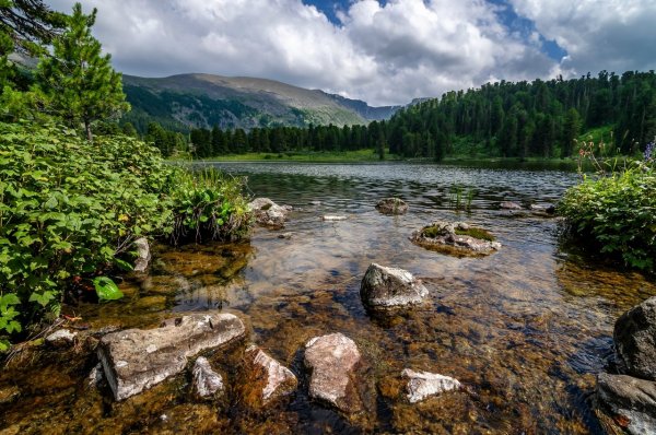 Каракольские озёра горный Алтай лето