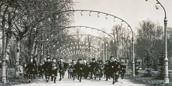 Ландышевая аллея в парке Горького