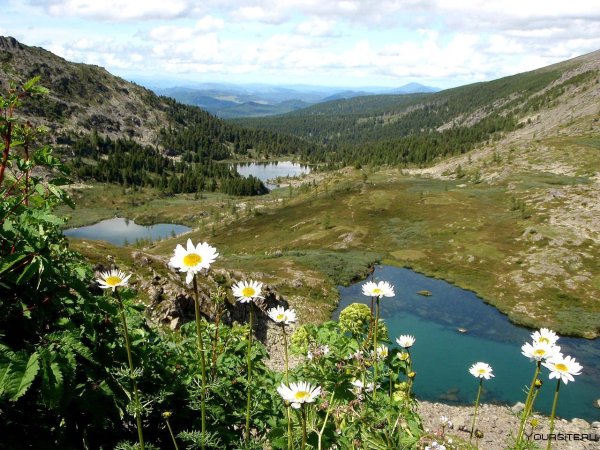 Каракольские озёра горный Алтай