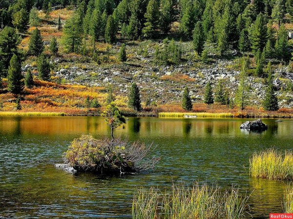 Алтай Каракольские озера экскурсия