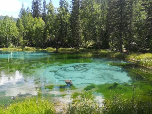 Каракольские озёра горный Алтай