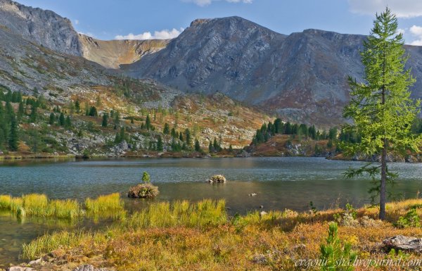 Озеро Манас горный Алтай