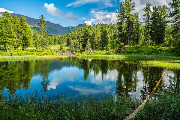 Каракольские озера летом