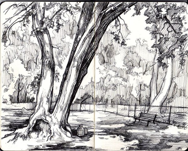 Парк зарисовка