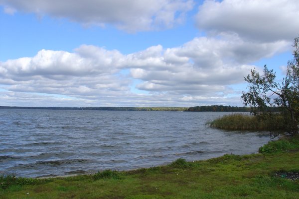 Озеро Балтым верхняя Пышма