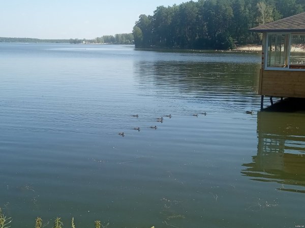 Озеро Балтым Екатеринбург