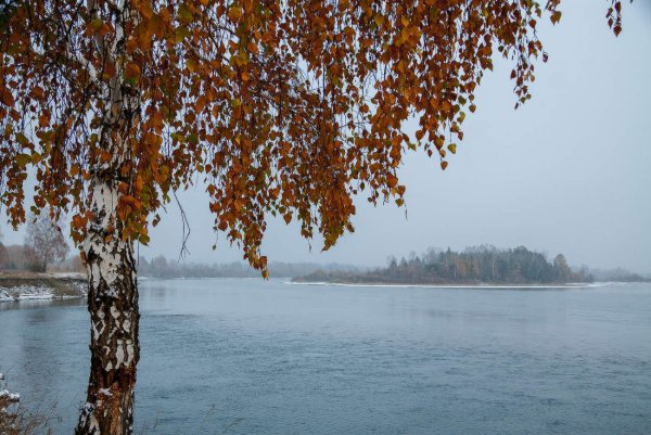 Балтым Екатеринбург