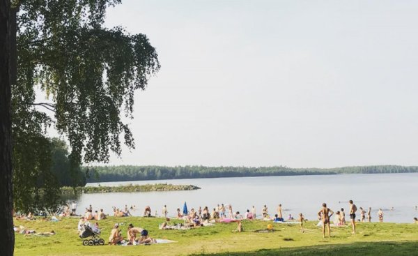 Пляж Грин парк Балтым