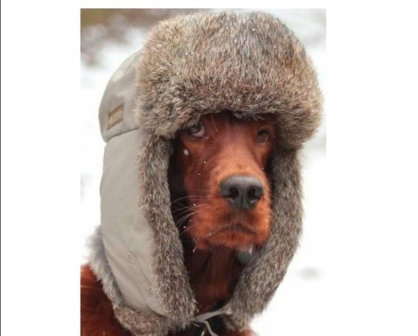 Приколы про холод