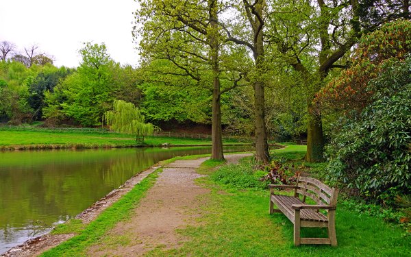 Hyde Park лавочки