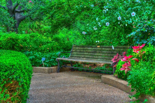 Красивый парк